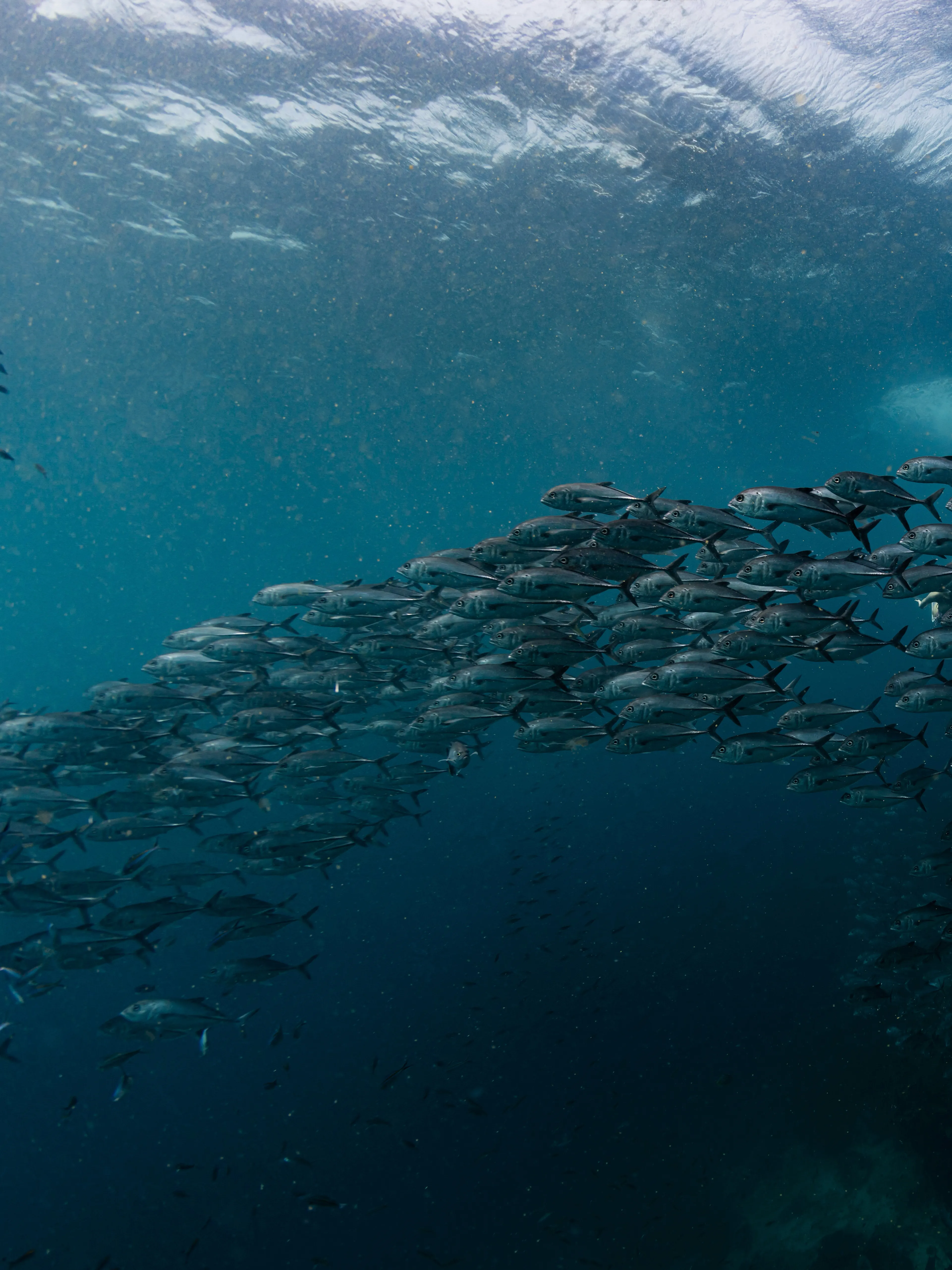 Tropical island beach