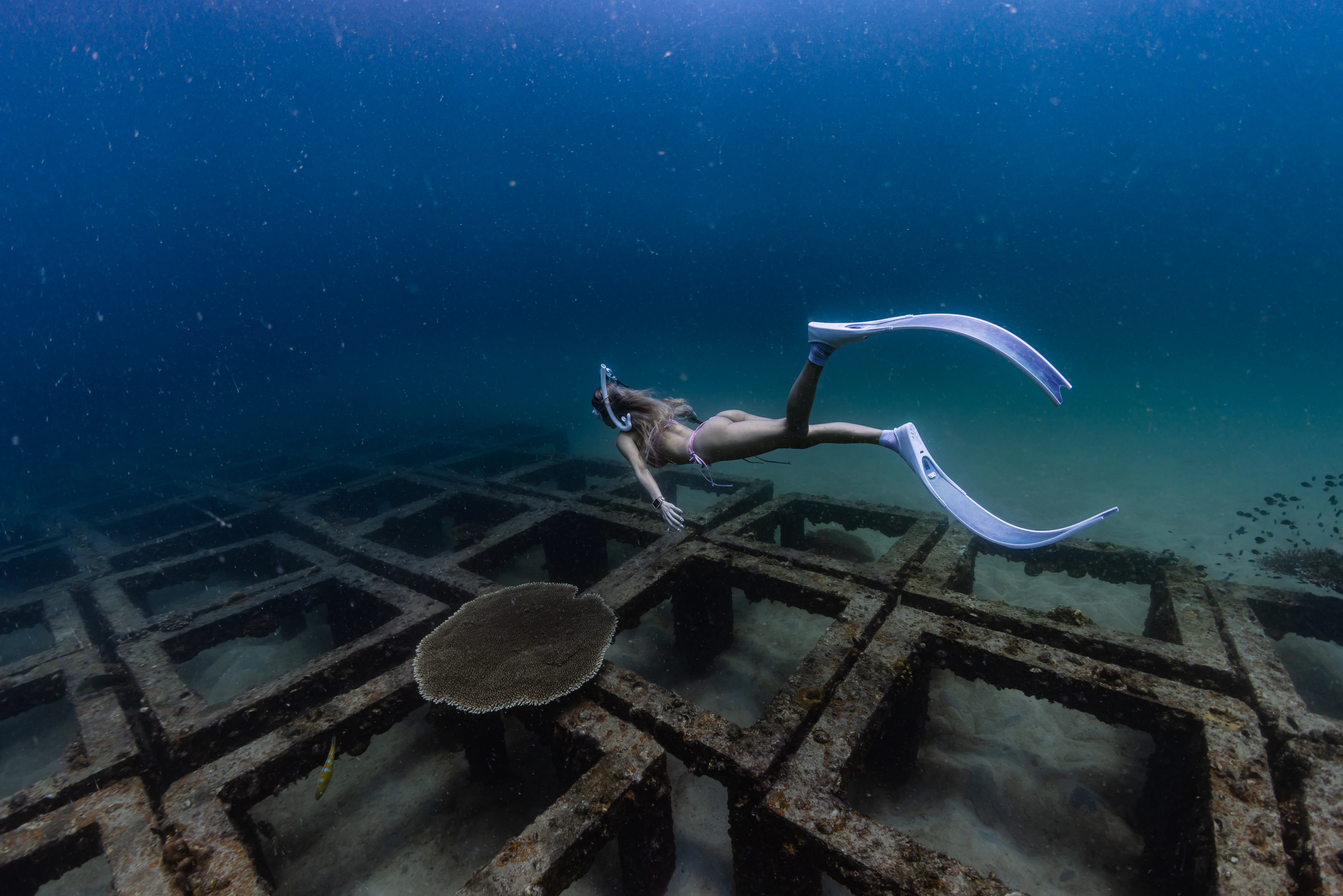 Koh Mat Sum trip photo