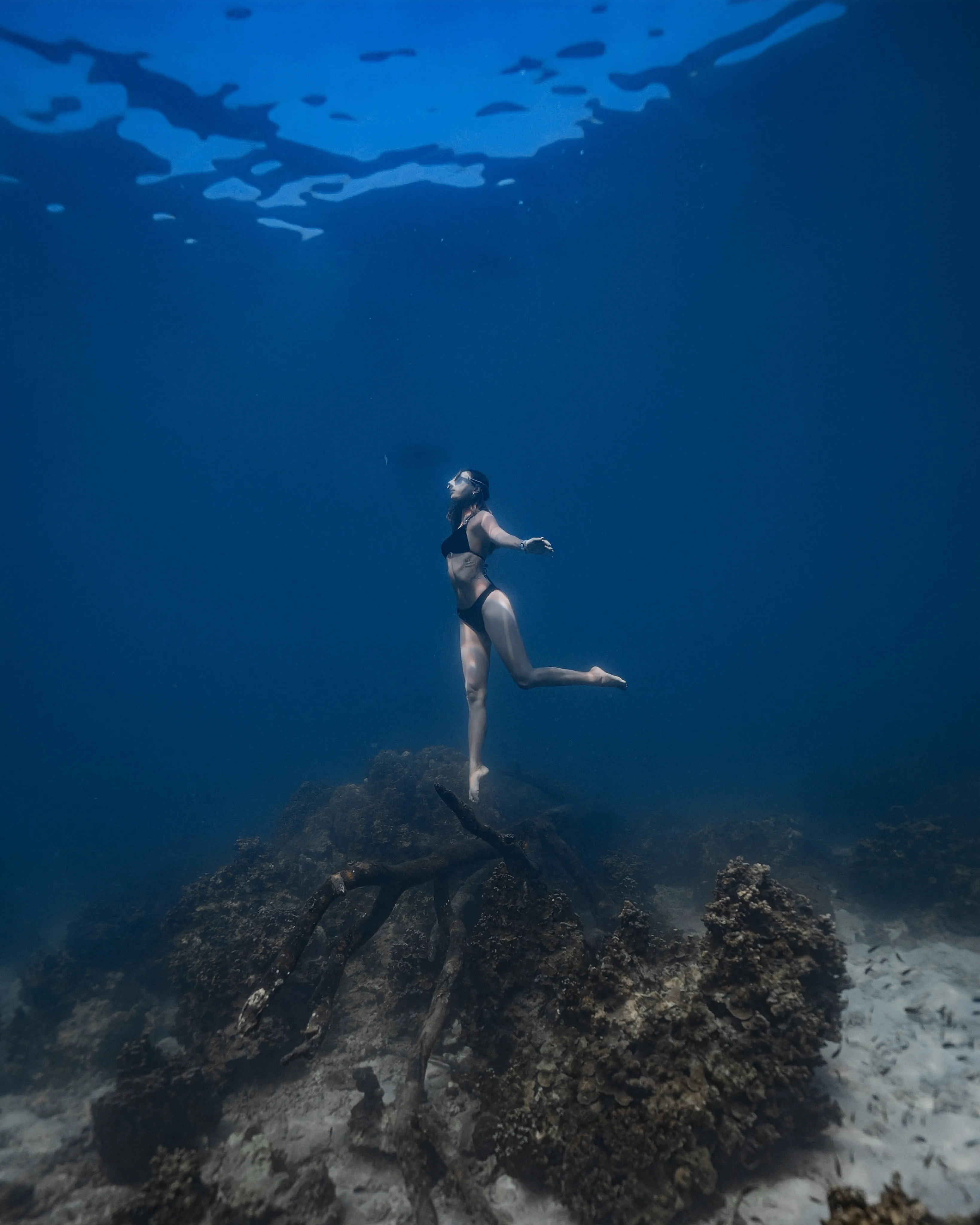 Koh Nang Yuan trip photo