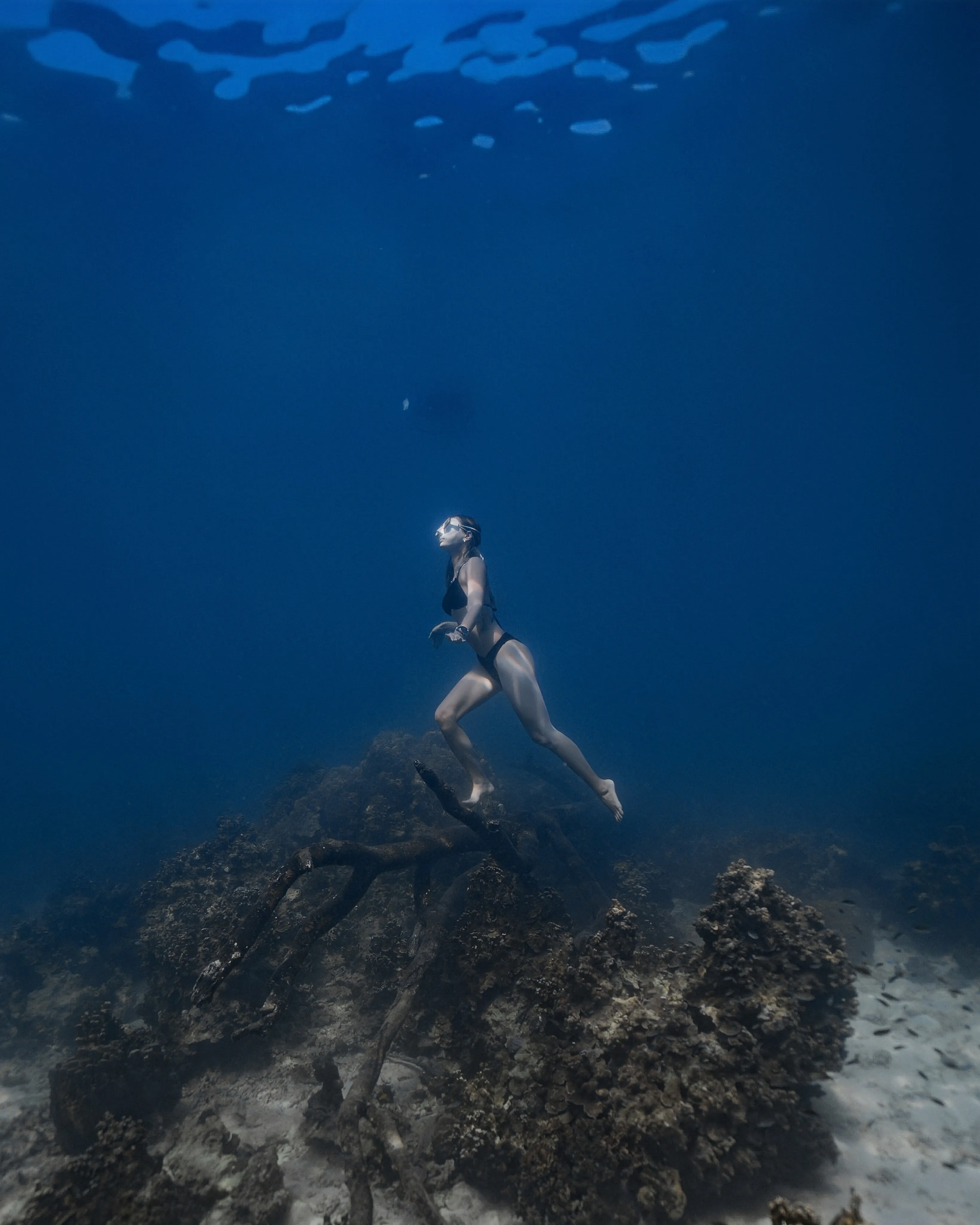 Koh Nang Yuan freediving tour