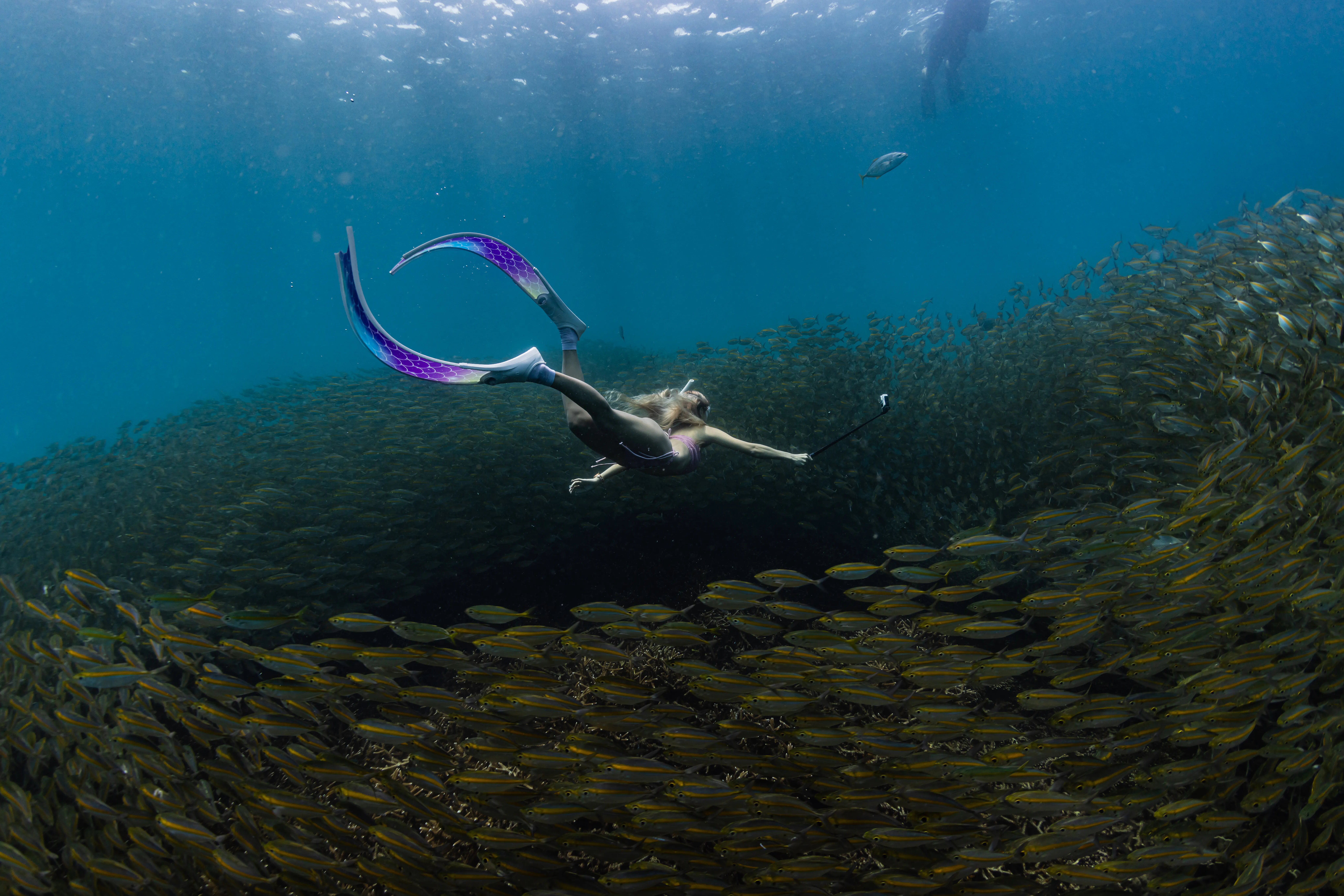 Sail Rock freediving tour