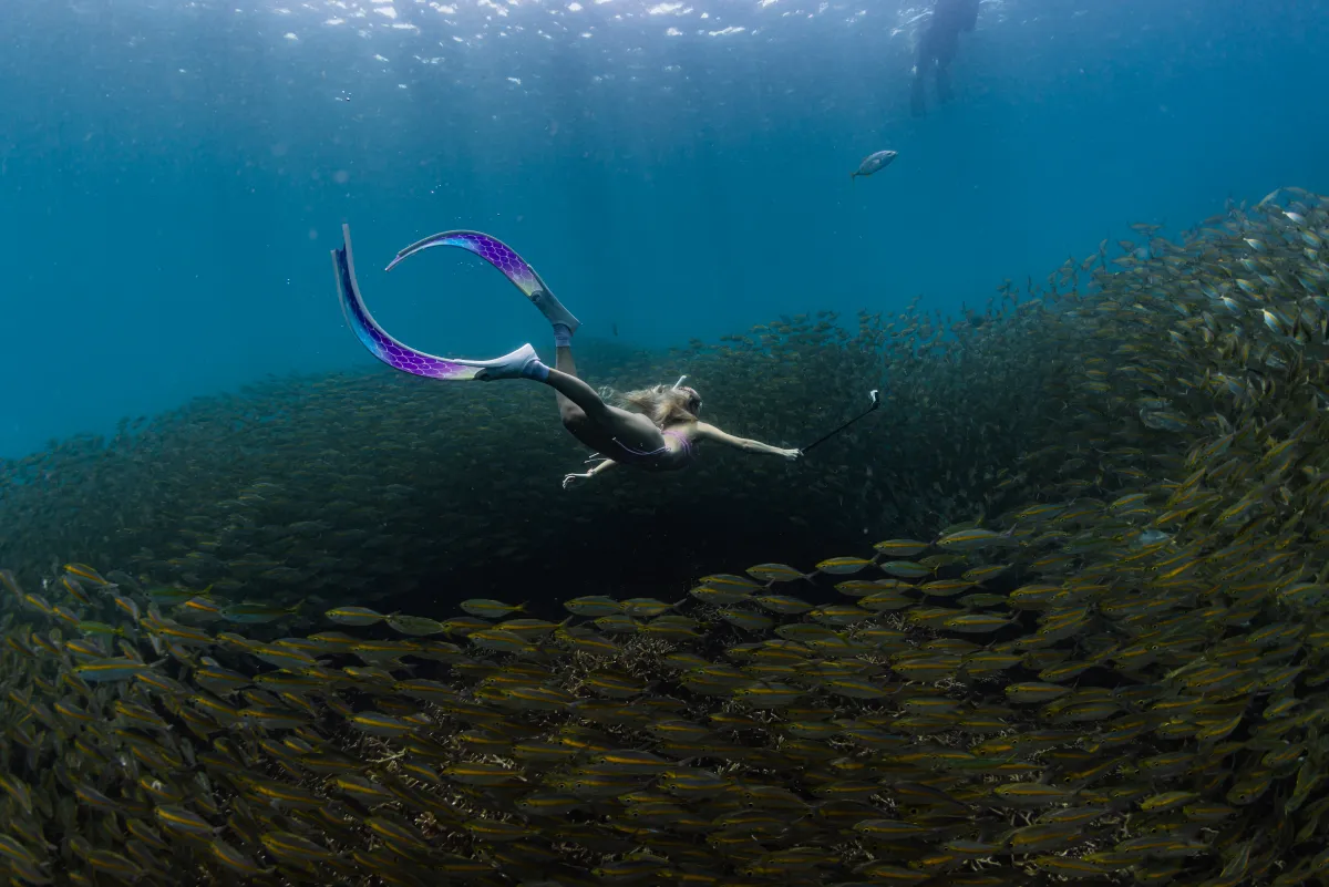 Koh Tao, from the water